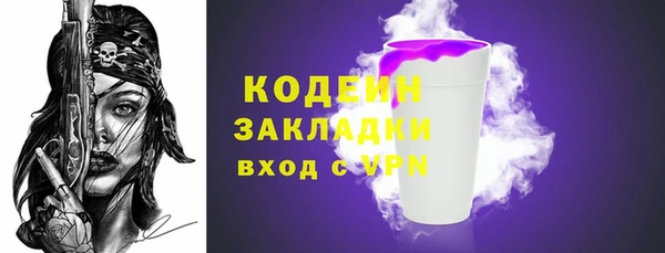 индика Верхний Тагил