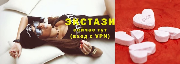 индика Верхний Тагил