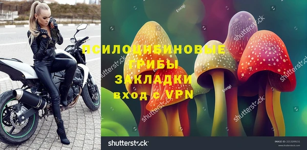 индика Верхний Тагил
