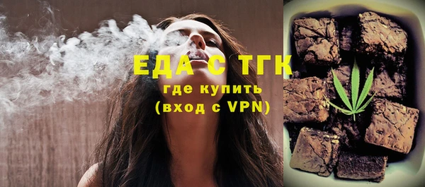 индика Верхний Тагил