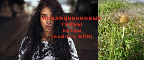 apvp Волоколамск