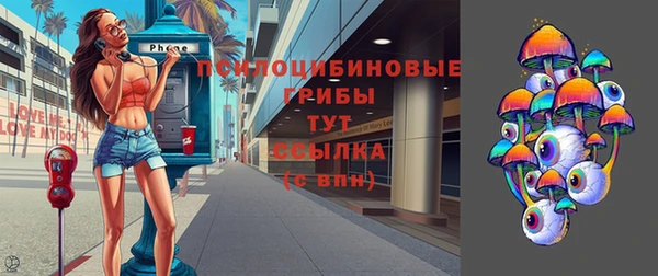 2c-b Верея