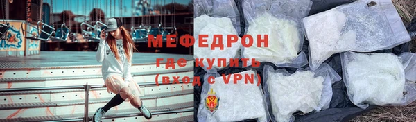 индика Верхний Тагил