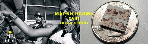 индика Верхний Тагил