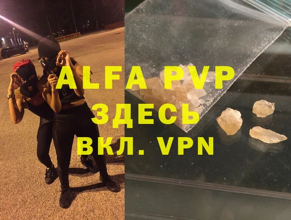 индика Верхний Тагил